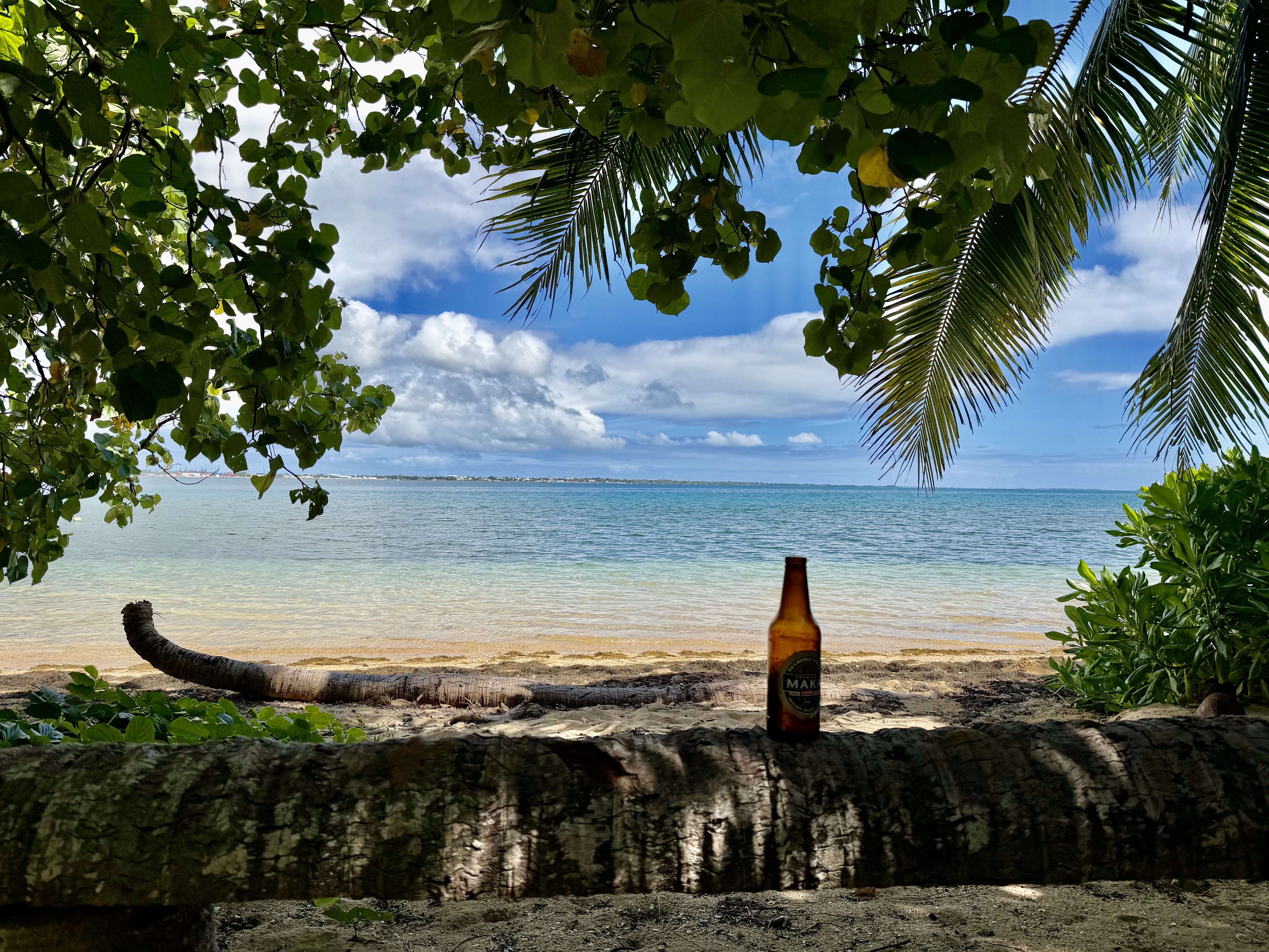 A bottle of Maka beer overlooking a tropical beach framed by palm leaves.